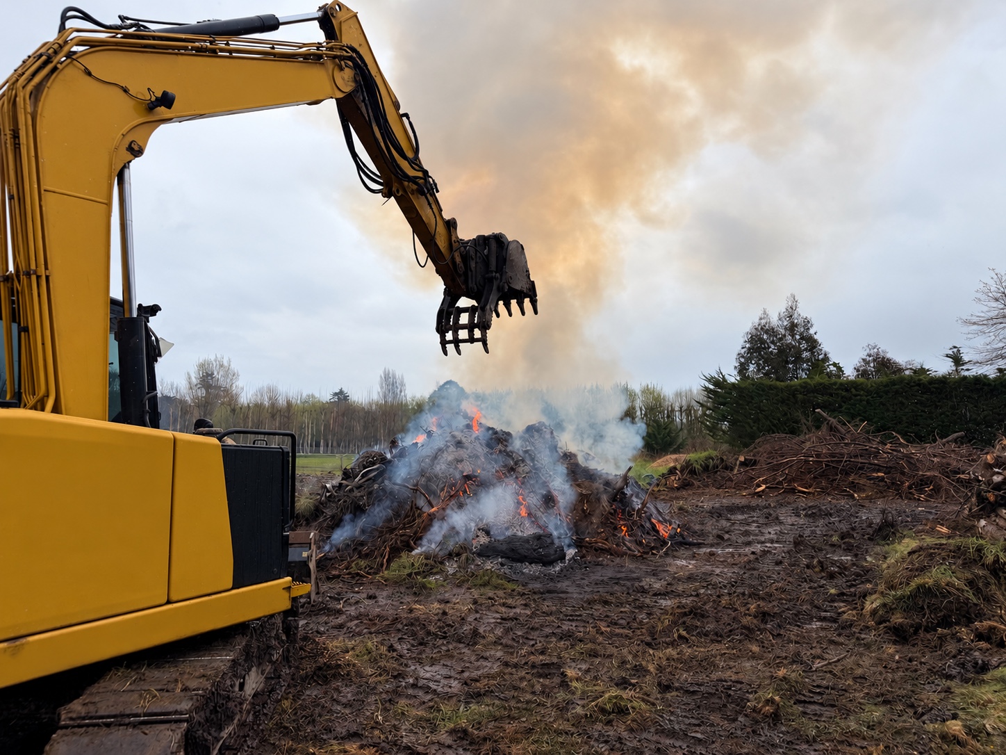 Excavator and cut branches at a shelterbelt vegetation clean-up site
